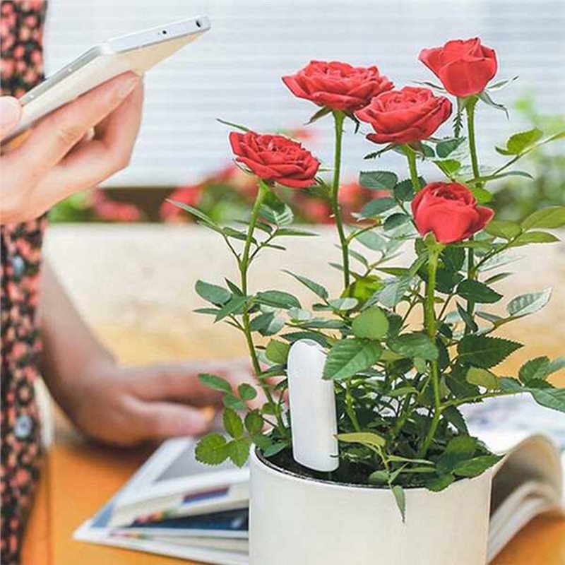 Plant Sensor - Умный монитор для цветов ABVG-Flora: тестер-датчик