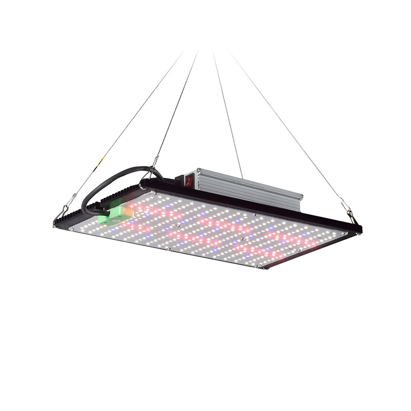 Светодиодный квантовый светиль – обзор и цена Plant Grow Light Full Spectrum