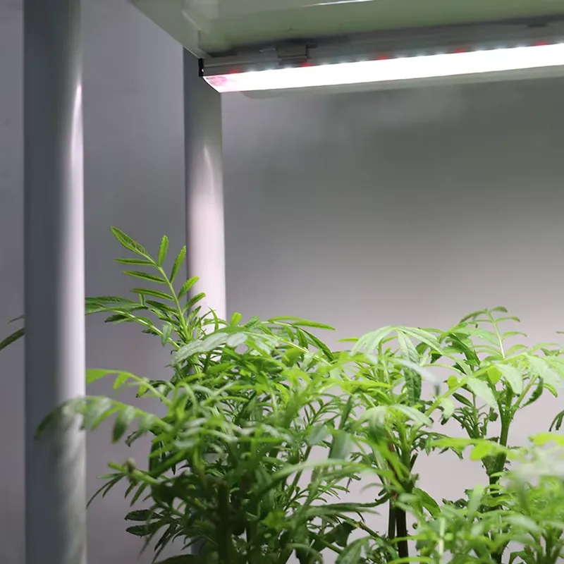 Передвижная вертикальная треху – обзор и цена Smart Garden System