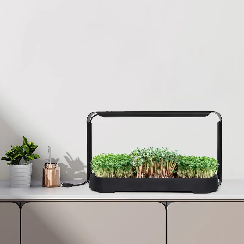Система для выращивания микроз – обзор и цена Indoor Garden Kit