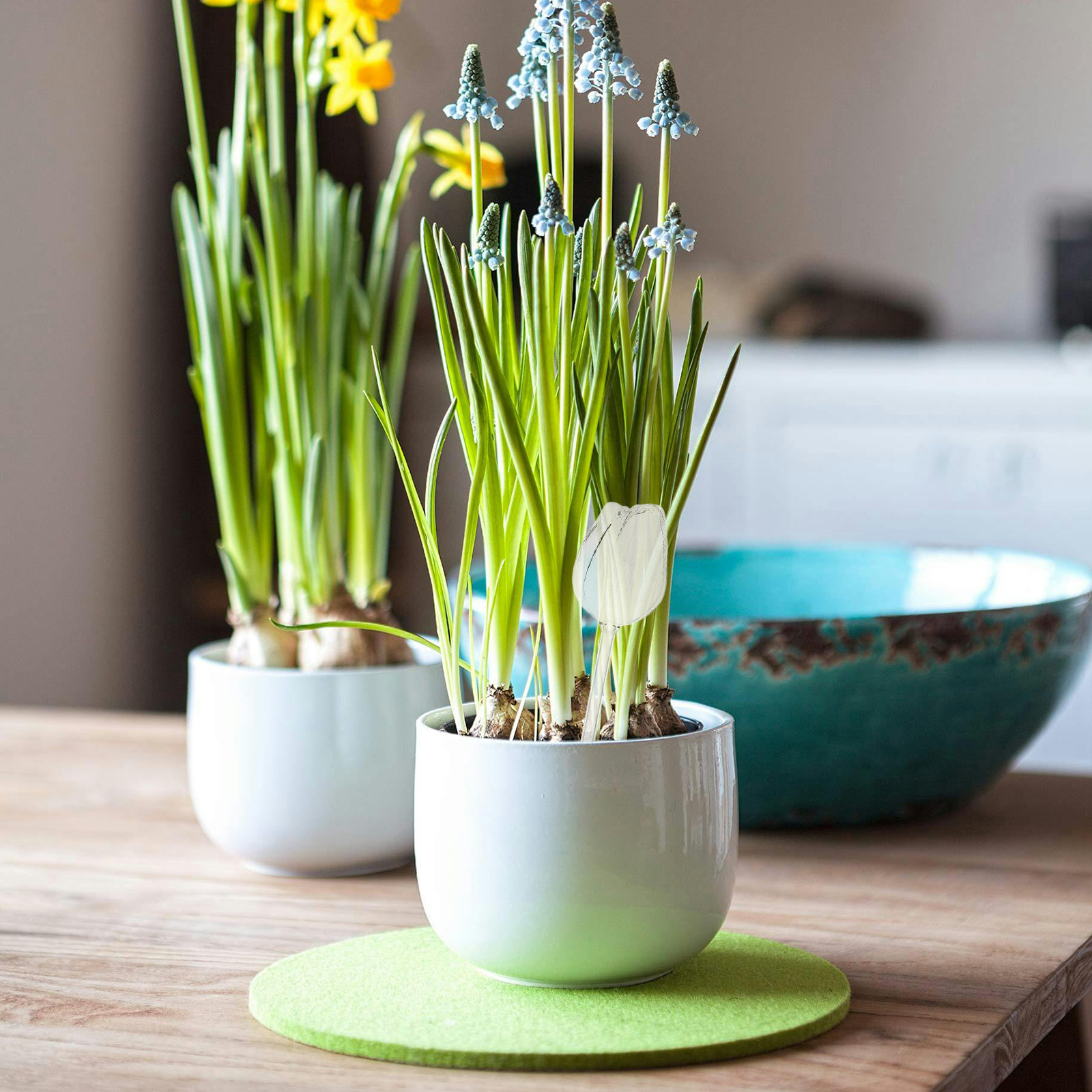 2 шт. Премиальные садовые шары – обзор и цена Self Watering Planter