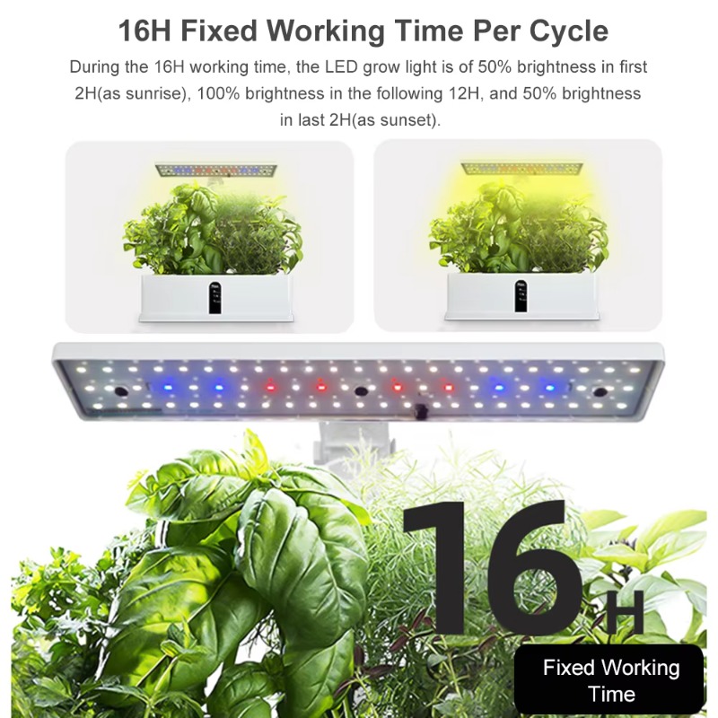 9-секционная умная гидропонная – обзор и цена Smart Garden System