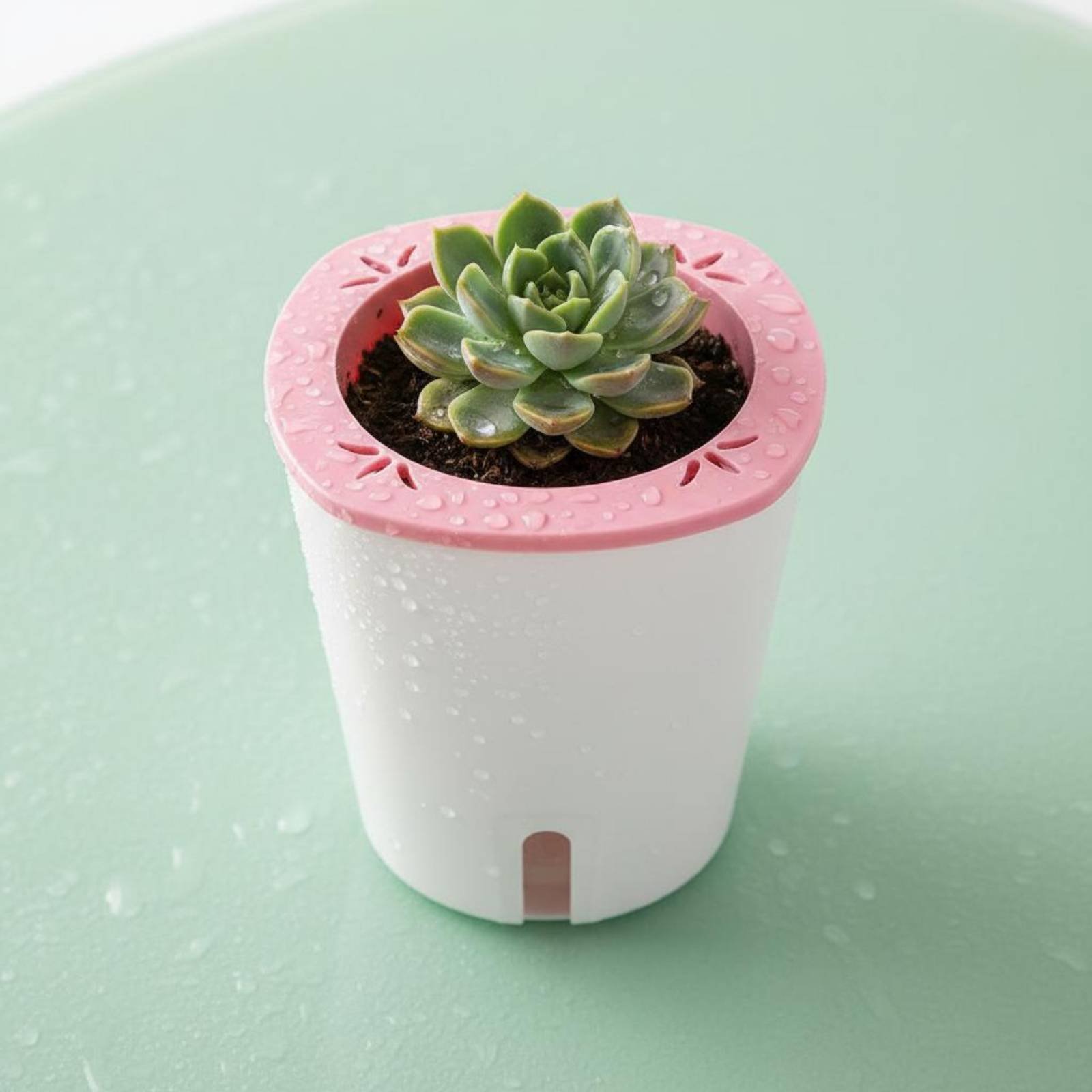 Самополивающийся горшок большо – обзор и цена Self Watering Planter