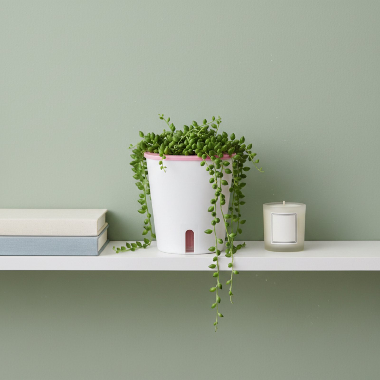 Самополивающийся горшок большо – обзор и цена Self Watering Planter