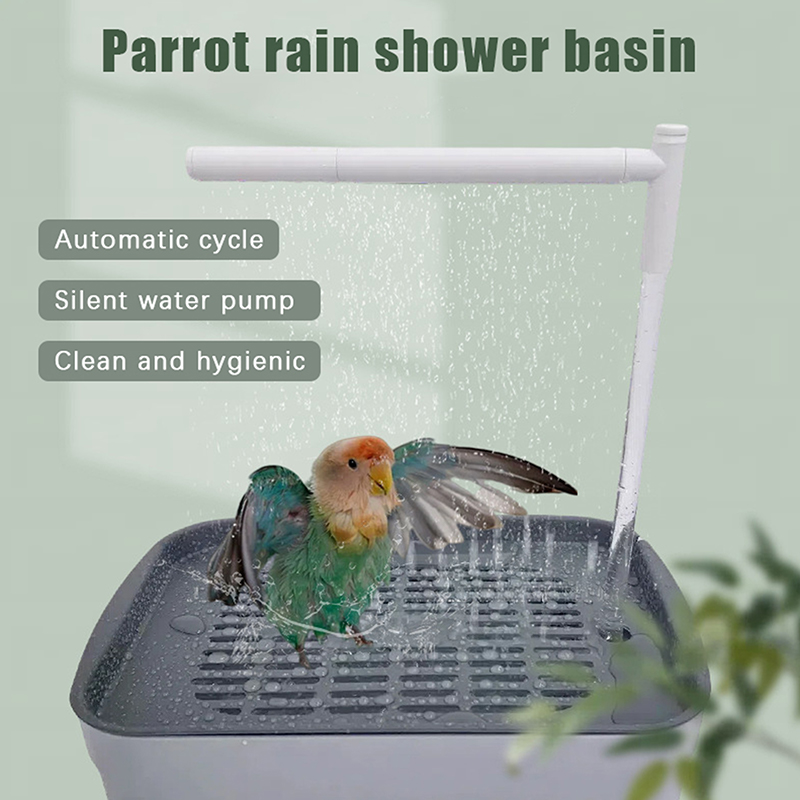 Новинка! Распродажа 2026: Авто – обзор и цена Automatic Watering